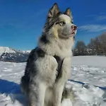 Du Bachelard Uvernet-Fours