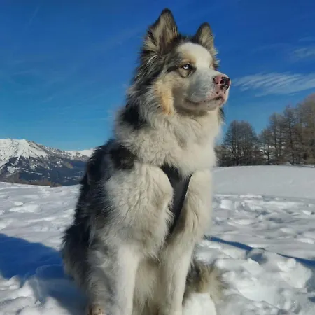 Du Bachelard Uvernet-Fours