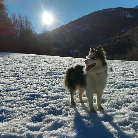 Du Bachelard Hotel 2*