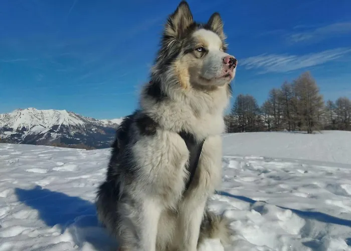 Du Bachelard Uvernet-Fours