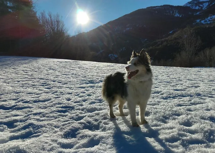 Du Bachelard Hotel 2*